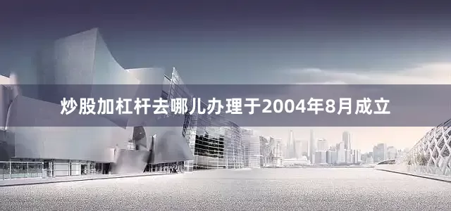 炒股加杠杆去哪儿办理于2004年8月成立