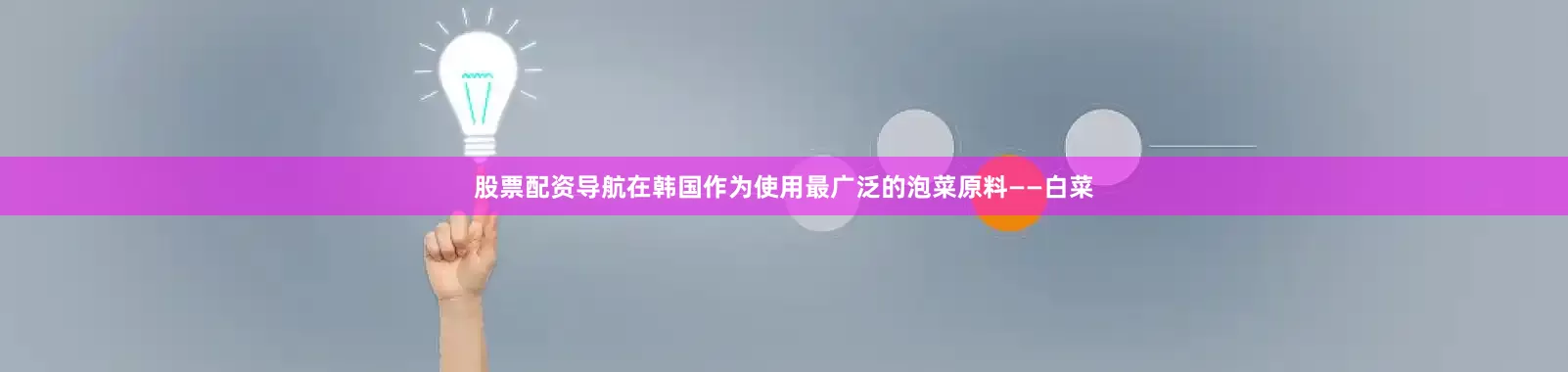 股票配资导航在韩国作为使用最广泛的泡菜原料——白菜