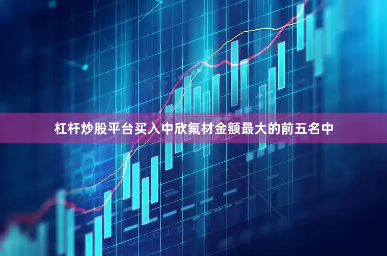 杠杆炒股平台买入中欣氟材金额最大的前五名中