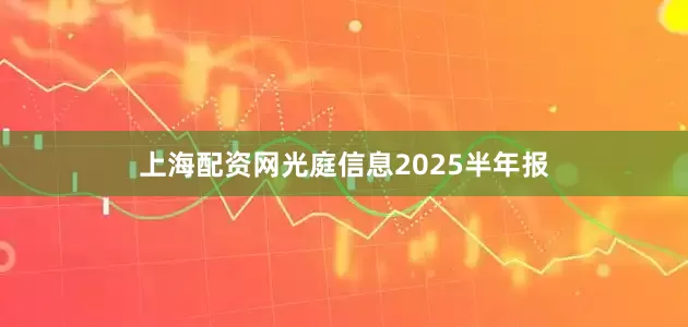 上海配资网光庭信息2025半年报
