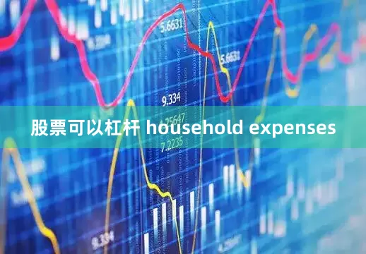 股票可以杠杆 household expenses