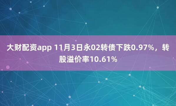 大财配资app 11月3日永02转债下跌0.97%，转股溢价率10.61%