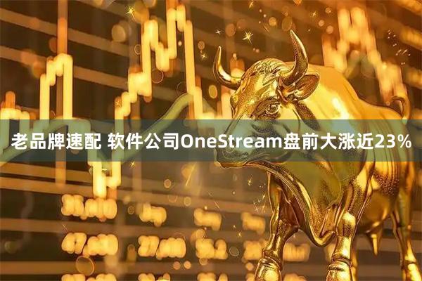 老品牌速配 软件公司OneStream盘前大涨近23%