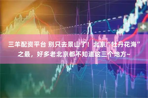 三羊配资平台 别只去景山了！北京“牡丹花海”之最，好多老北京都不知道这三个地方~